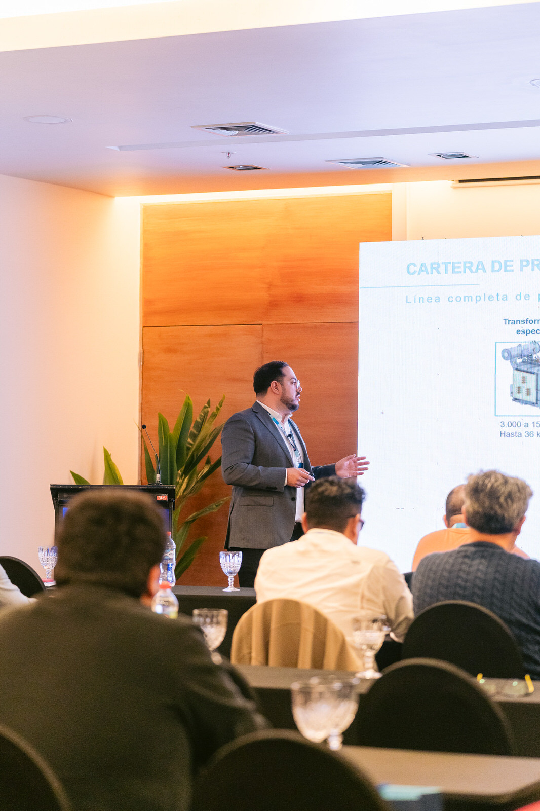 Ponente sala lateral 2 Seminario WEG Concepción