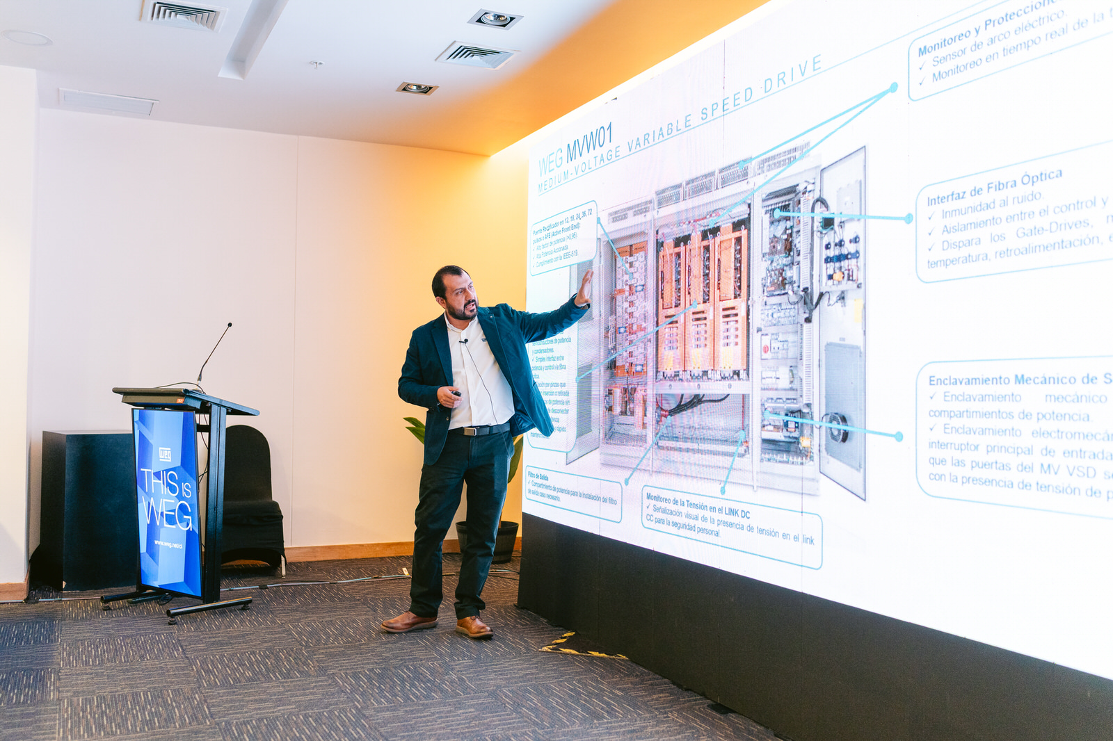 Ponente sala lateral Seminario WEG Concepción